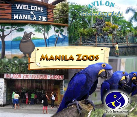 baguio zoos|10 Best Zoos and Aquariums in the Philippines .